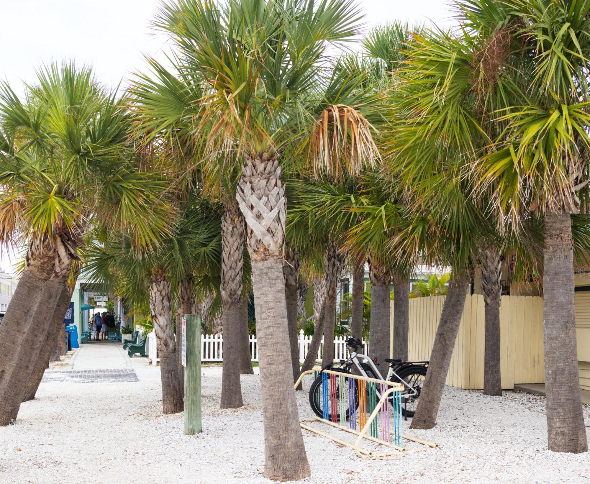 The Hotel Zamora St. Pete Beach Exteriér fotografie